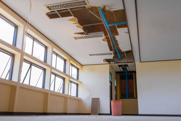 Best Sewage cleanup and water damage restoration  in Eagle Grove, IA
