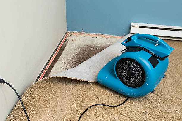 Best Water damage repair service  in Eagle Grove, IA